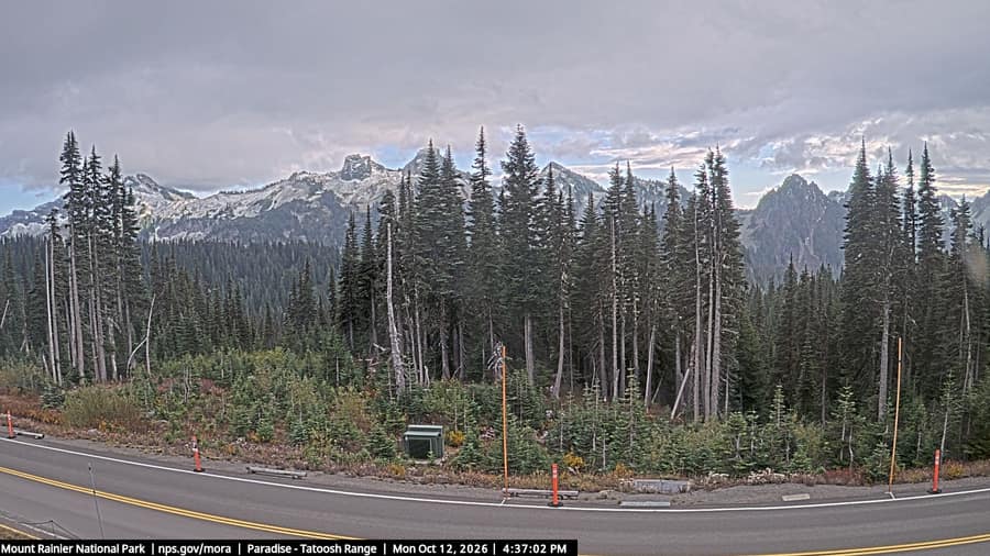 Paradise: Tatoosh Range