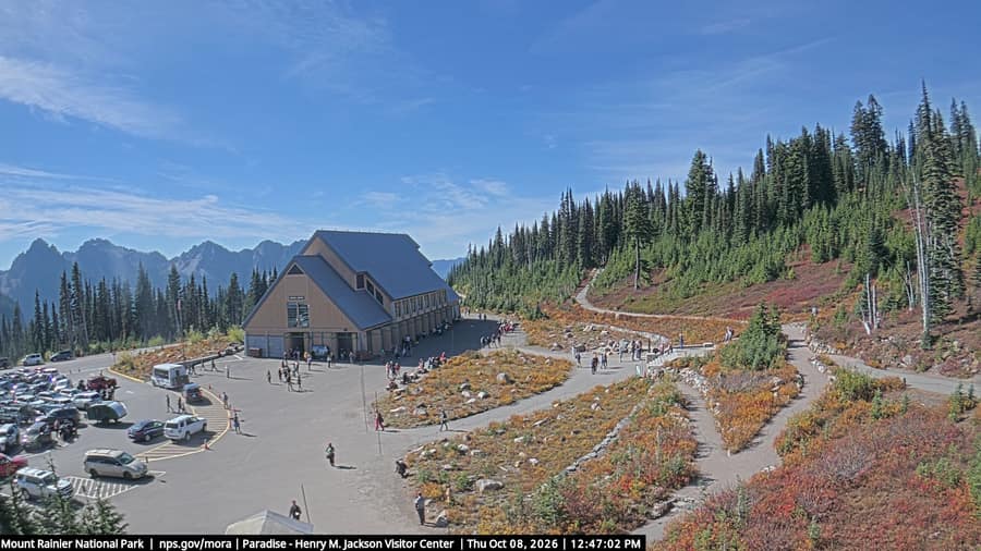 Paradise: Jackson Visitor Center