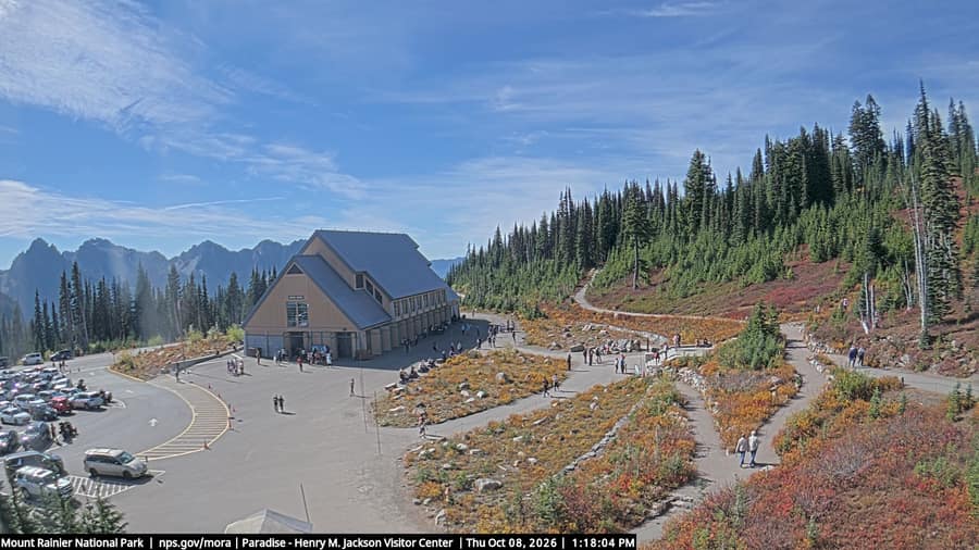 Paradise: Jackson Visitor Center