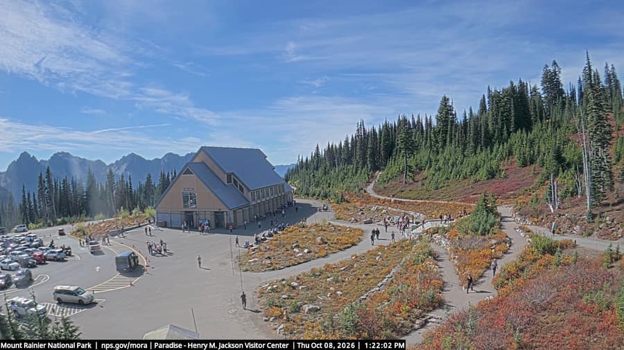 Paradise: Jackson Visitor Center