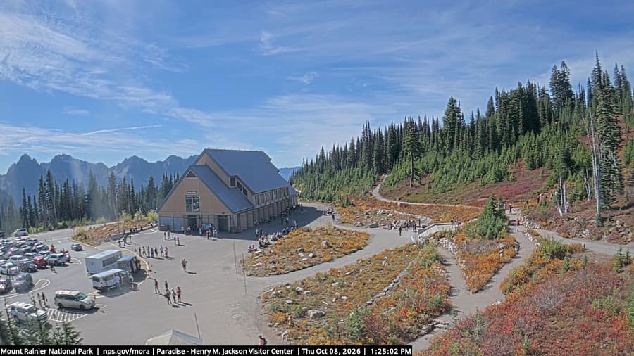 Paradise: Jackson Visitor Center
