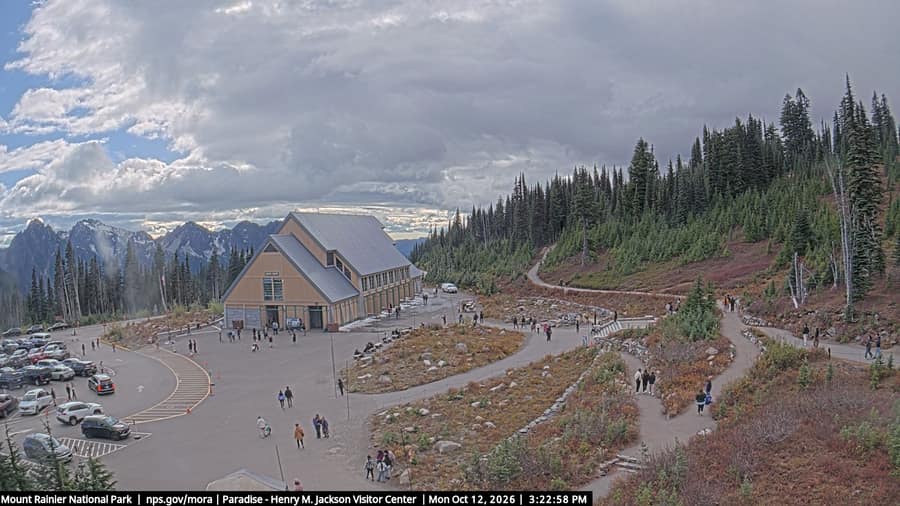 Paradise: Jackson Visitor Center