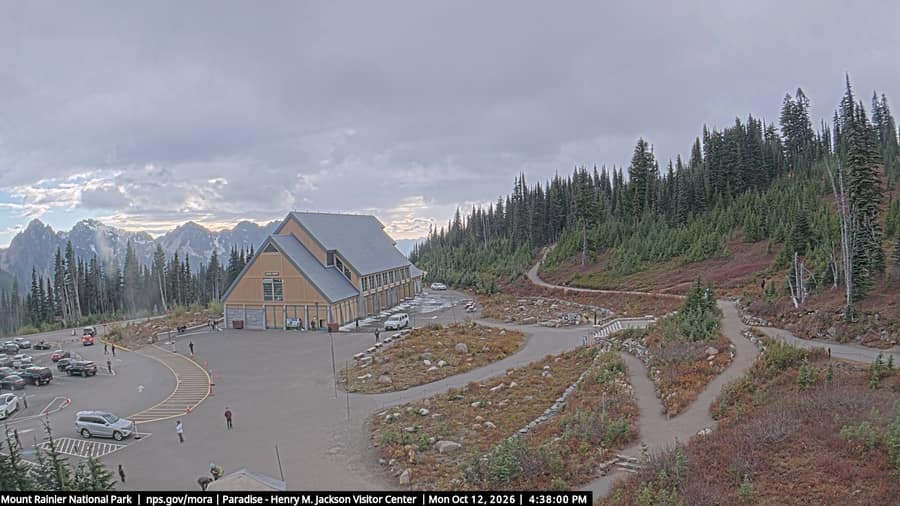 Paradise: Jackson Visitor Center