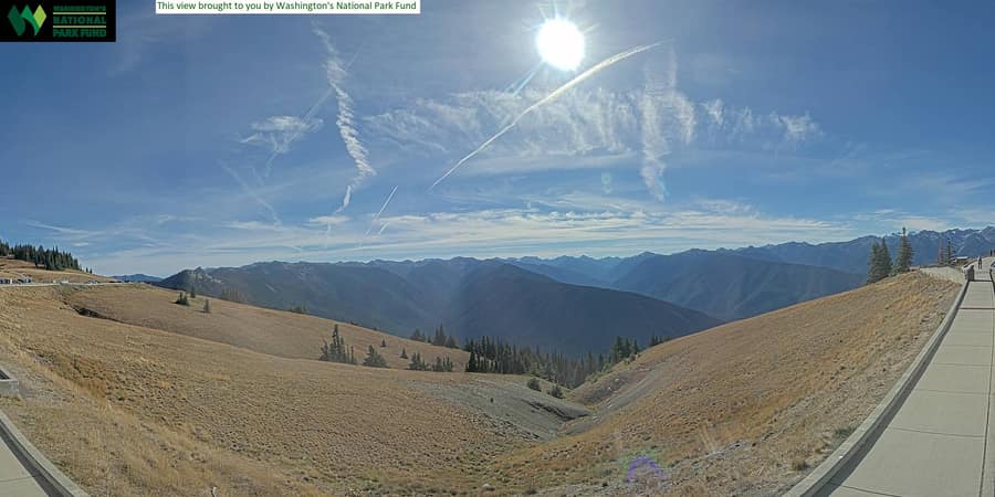 Hurricane Ridge: looking south