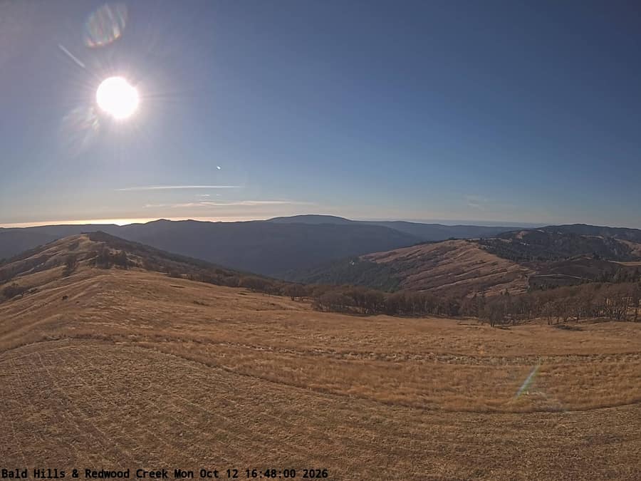 Redwood: Bald Hills and Redwood Creek