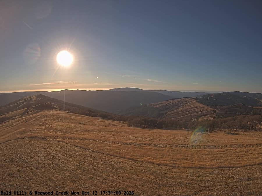 Redwood: Bald Hills and Redwood Creek