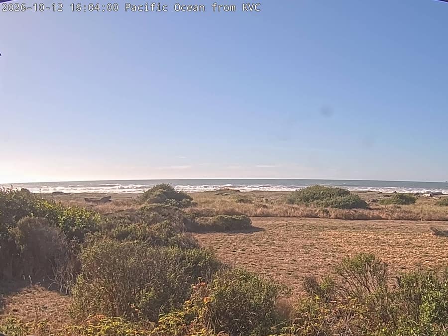 Redwood: Kuchel Visitor Center, Pacific Ocean