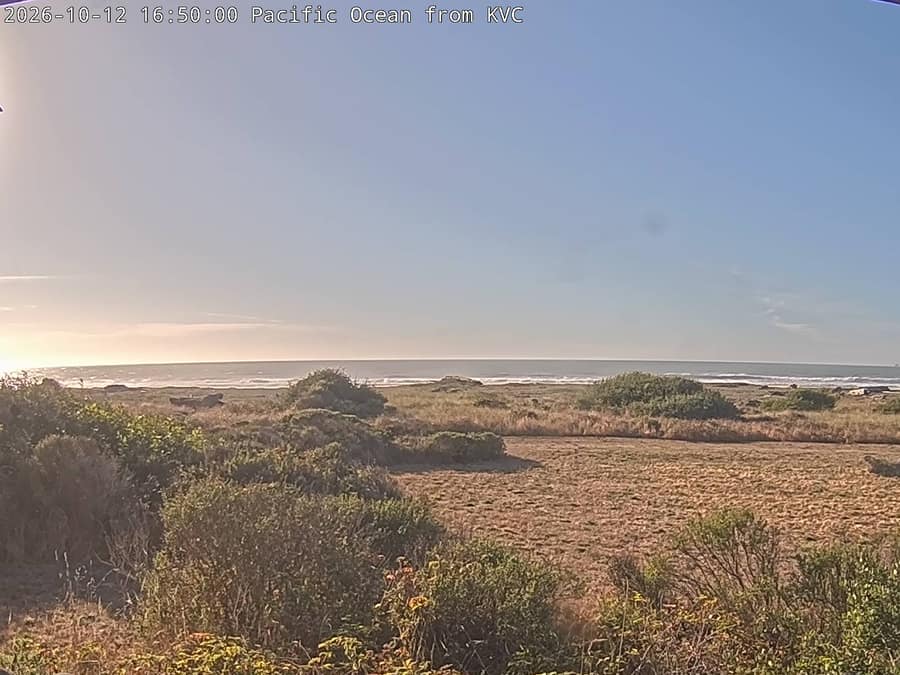 Redwood: Kuchel Visitor Center, Pacific Ocean