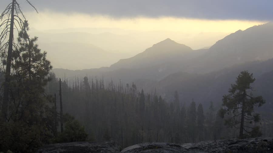 Sequoia: Giant Forest