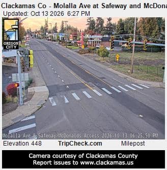 Clackamas Co - Molalla Ave at Safeway and McDonalds