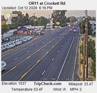 OR11 at Crockett Rd