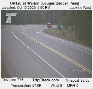 OR126 at Walton (Cougar/Badger Pass)