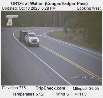 OR126 at Walton (Cougar/Badger Pass)