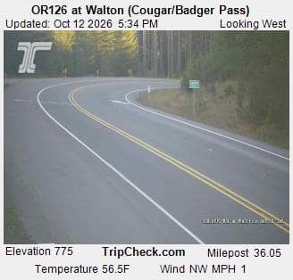 OR126 at Walton (Cougar/Badger Pass)