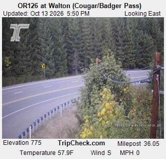 OR126 at Walton (Cougar/Badger Pass)