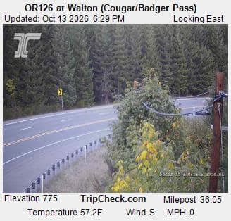OR126 at Walton (Cougar/Badger Pass)