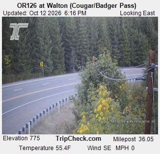 OR126 at Walton (Cougar/Badger Pass)