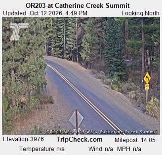 OR203 at Catherine Creek Summit