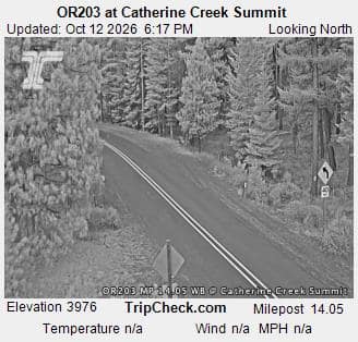 OR203 at Catherine Creek Summit