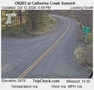 OR203 at Catherine Creek Summit