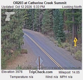 OR203 at Catherine Creek Summit