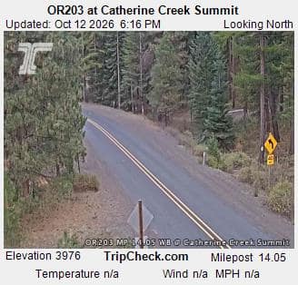 OR203 at Catherine Creek Summit