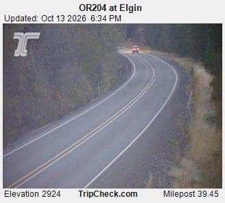 OR204 at Elgin