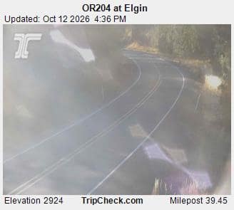 OR204 at Elgin