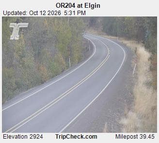 OR204 at Elgin