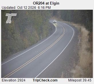 OR204 at Elgin