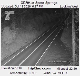 OR204 at Spout Springs