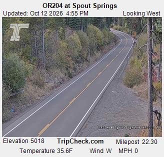 OR204 at Spout Springs