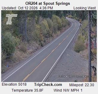 OR204 at Spout Springs