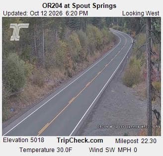 OR204 at Spout Springs