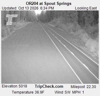 OR204 at Spout Springs