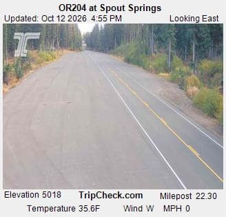 OR204 at Spout Springs