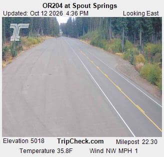 OR204 at Spout Springs