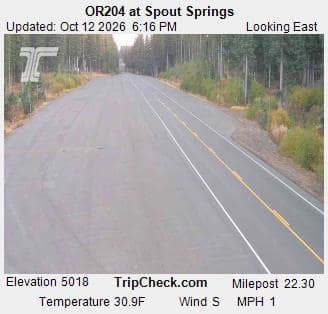 OR204 at Spout Springs