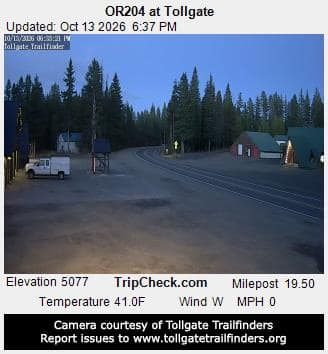 OR204 at Tollgate