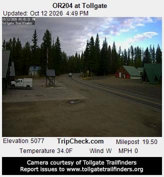 OR204 at Tollgate