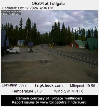 OR204 at Tollgate