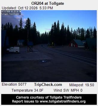 OR204 at Tollgate