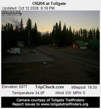 OR204 at Tollgate