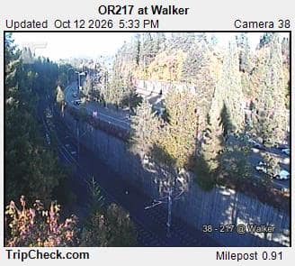 OR217 at Walker