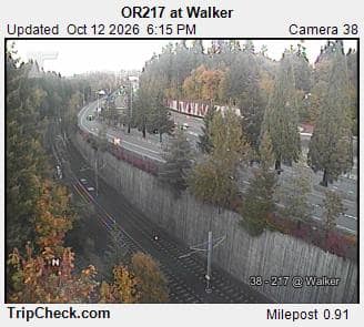 OR217 at Walker