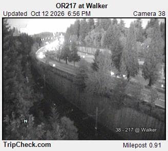 OR217 at Walker