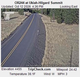 OR244 at Ukiah-Hilgard Summit