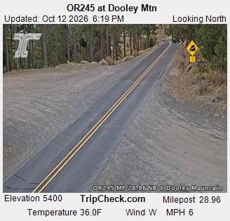 OR245 at Dooley Mtn