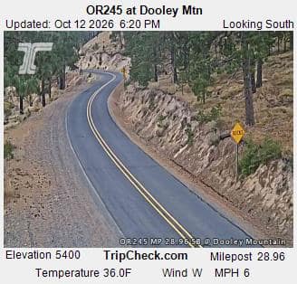 OR245 at Dooley Mtn