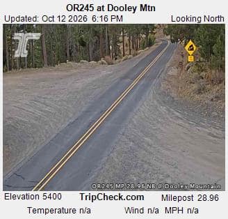 OR245 at Dooley Mtn